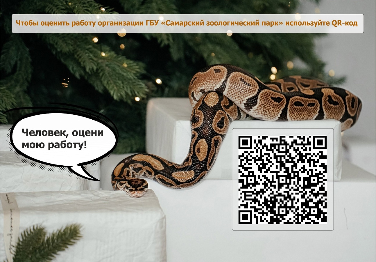 Дорогие подписчики, примите участие в опросе пожалуйста!